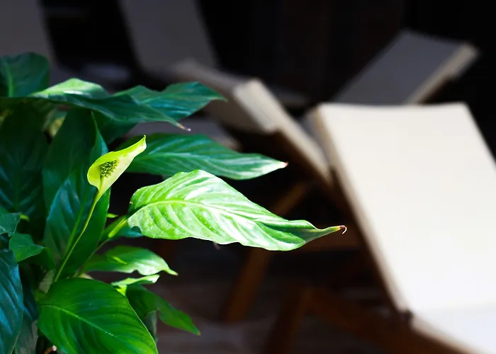 ホワイト ロック キャッスル スイート ＆ スパ